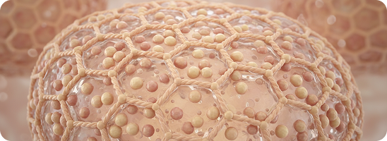 Dermal collagen structure